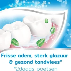 Aquafresh Coolmint Tandpasta 5-pack
