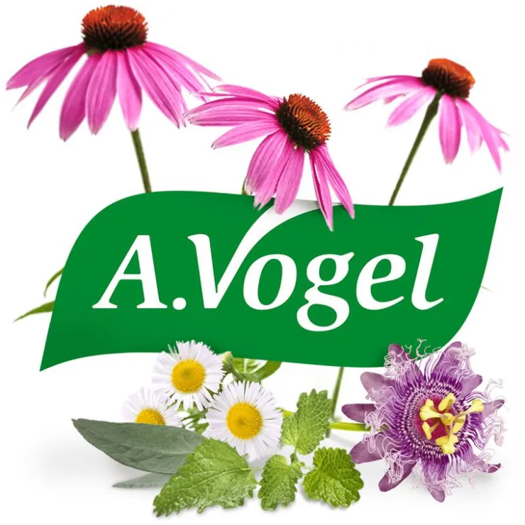 A.Vogel Avena Sativa Evenwichtig in Stresssituaties1* Druppels 100 ML