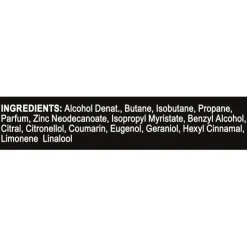 AXE Epic Fresh Deodorant Bodyspray 150 ML