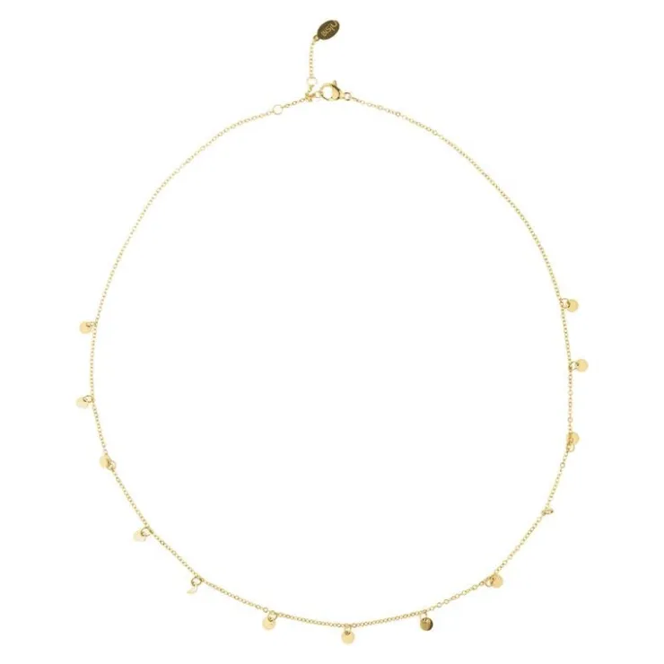BiSjU Jewellery Ketting Munt Gold Plated