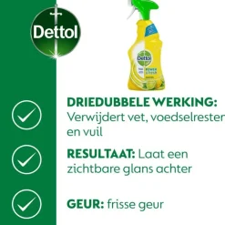 Dettol Spray Citrus 500 ML