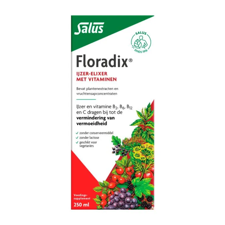 Salus Floradix Vloeibaar IJzer Elixer