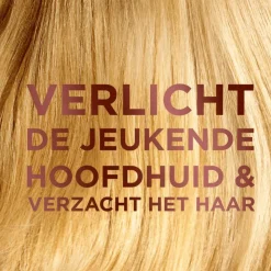 Garnier Loving Blends Shampoo Milde Haver 300 ML