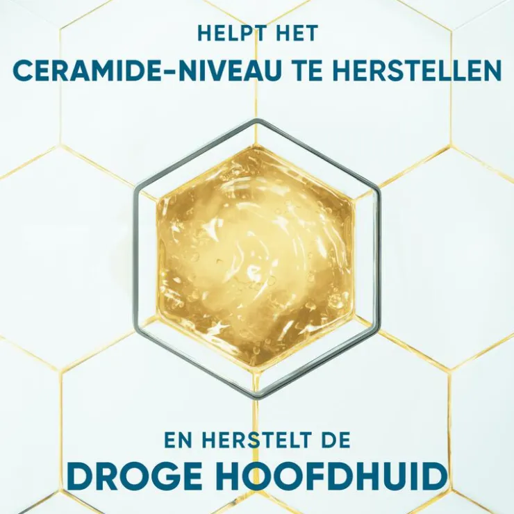 Head and Shoulders Head & Shoulders Derma X Pro Hydrateert Shampoo Anti-roos 250 ml