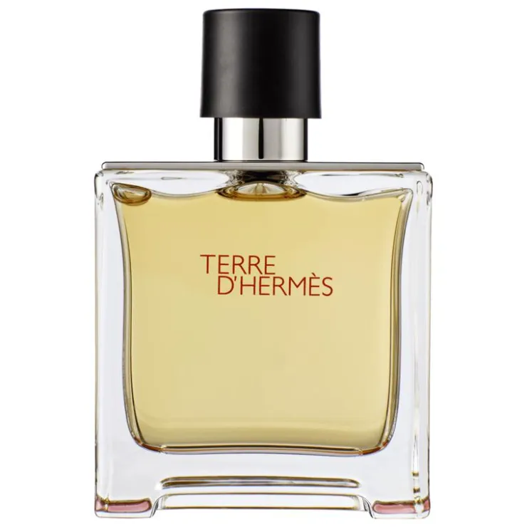 Heren Hermes Terre d' eau de parfum 75 ML