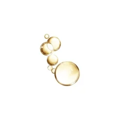 L'Oréal Paris Elvive Extraordinary Olie 100 ML