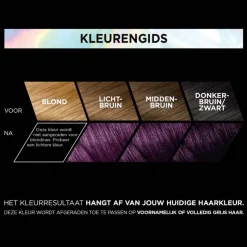 Preference L'Oréal Paris Préférence Haarverf 3.161 Les Vivids Magnetic Plum