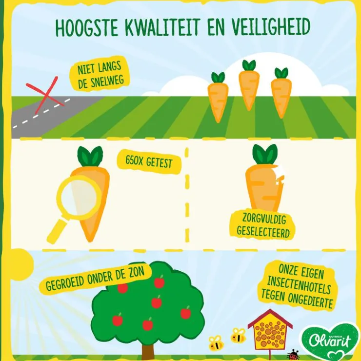 Olvarit Bloemkool Babyhapje 4+ maanden 125 GR