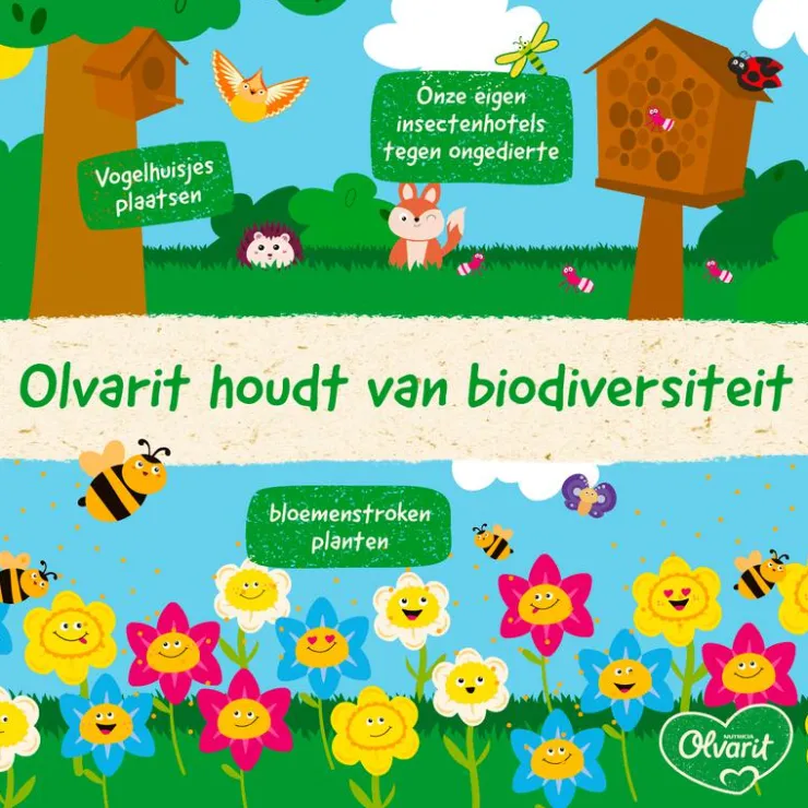 Olvarit Knijpfruit 6+ Peer Banaan 100 gram