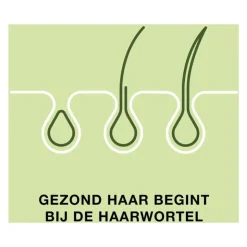 Priorin 120 Capsules Met Biotine Voor Sterk En Vol Haar Van Binnenuit