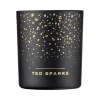 Ted Sparks Demi Candle Cinnamon & Spice