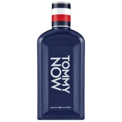 Heren Tommy Hilfiger Tommy Boy Now eau de toilette 100 ML