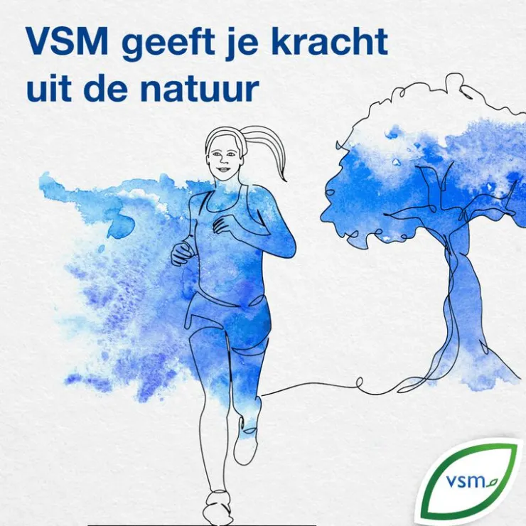 VSM Spiroflor SRL Spier- En Gewrichtscrème 75 GR